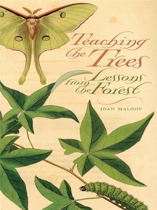 Title details for Teaching the Trees by Joan Maloof - Available